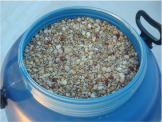 Conservación de granos en recipientes herméticos